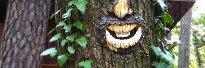 Kletterwald im Herbst
