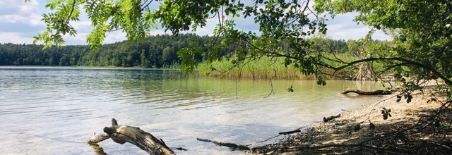 Letzte Plätze für unsere Ferienlage in Eichwalde, Wildau und Zeuthen